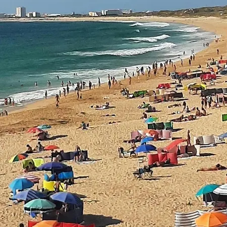 Flor Do Sol Al92221 * アトウギア・ダ・バレイア