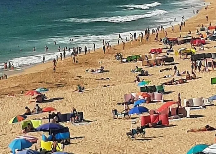 Flor Do Sol Al92221 * אנטוגויה דה באלייה